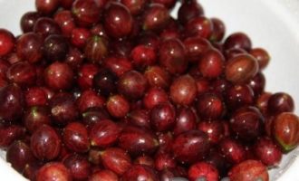 Pentru a pregăti compot de mojito cu agrișe pentru iarnă, trebuie să sortați agrișele din gunoi, să le spălați și să le uscați într-o strecurătoare. Apoi, dacă doriți ca boabele să rămână intacte, trebuie să le înțepați în 3-4 locuri folosind o scobitoare. Puncțiile vor împiedica cojile de fructe de pădure să spargă din contactul cu apa clocotită. Cu toate acestea, nu este necesar să înțepăți boabele; gustul compotului nu depinde de acest lucru.