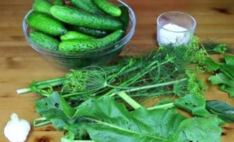 Hur lagar man lättsaltade gurkor med vitlök och dill? Det finns ett förberedande ögonblick i att sylta gurkor på något sätt. Gurkor bör tvättas noggrant och frukterna bör blötläggas i kallt, rent vatten i minst ett par timmar. Du kan göra det för en dag, men du kommer definitivt att behöva byta vattnet med några timmars mellanrum. Tvätta bladen, skala vitlöken och skär varje klyfta på mitten.