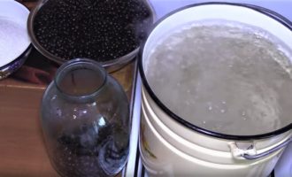 Este foarte ușor să prepari compot de coacăze negre pentru iarnă într-un borcan de 3 litri. Sortăm fructele de pădure și le clătim cu apă rece. Spălați bine borcanul cu sifon și sterilizați-l. Aceasta se poate face la abur, la cuptor sau chiar la microunde.Fierbeți capacele de fier într-un recipient timp de aproximativ 5 minute. Pentru fiecare borcan de trei litri trebuie să măsurați un borcan cu o capacitate de 0,7 litri. Asta facem. Umpleți un borcan cu fructe de pădure și transferați în altul.
