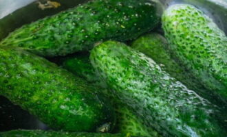 Lättsaltad gurka i påse med vitlök och dill är väldigt lätt att tillaga. Till denna aptitretare, välj medelstora gurkor och blötlägg dem i mycket kallt vatten några timmar i förväg, vilket ger dem en krispig smak. 