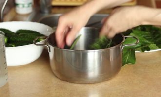 Bây giờ chúng ta hãy rửa rau xanh. Cho một ít lá nho, cải ngựa và lá anh đào cũng như thì là vào nồi. Bóc vỏ tỏi, cắt nhỏ và cho tất cả vào nồi.