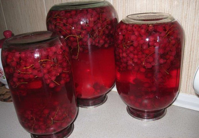 Redcurrant compote para sa taglamig