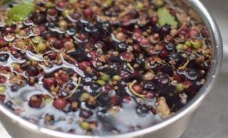 Làm thế nào để chuẩn bị thạch nho đen cho mùa đông bằng một công thức đơn giản? Đầu tiên bạn cần phân loại nho: bỏ cuống và lá, sau đó rửa thật sạch trong nước lạnh. Cách thuận tiện nhất để làm điều này là sử dụng một cái chao, đặc biệt vì chúng ta cũng sẽ cần nó khi chất lỏng dư thừa chảy ra từ quả mọng sau khi rửa.