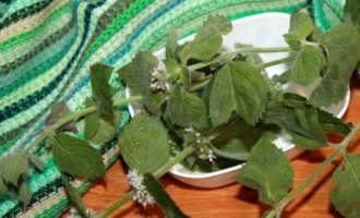 De asemenea, spălați menta, uscați-o, îndepărtați frunzele deteriorate.