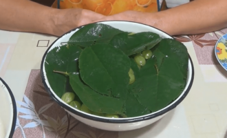 Chuẩn bị đĩa để ngâm quả mọng và lá anh đào. Rửa sạch lá và xếp chúng vào các lớp quả lý gai trong hộp đựng. Đổ đầy mọi thứ bằng nước lạnh và để yên trong khoảng 5-6 giờ.