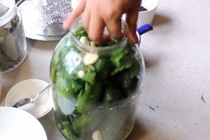Sau đó thêm phần còn lại của thì là, rau mùi tây và những tép tỏi còn lại vào dưa chuột. Nếu dùng ớt cay, bạn cần cắt thành từng miếng rồi cho vào lọ. Thêm một ít hạt tiêu đen vào lọ. Cố gắng đặt tất cả nguyên liệu vào các khoảng trống giữa các quả dưa chuột và không tích tụ ở phần trên ở cổ.