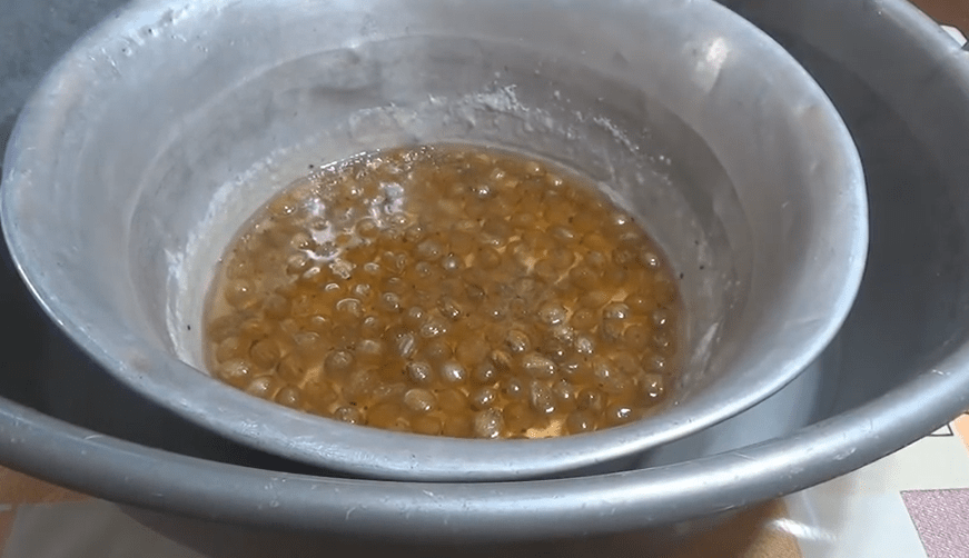 Mứt lý gai lá anh đào hoàng gia (ngọc lục bảo)