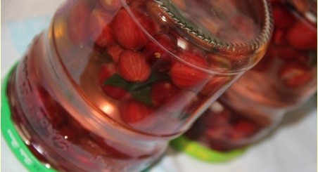 Mojito de agrișe pentru iarnă cu mentă și lămâie