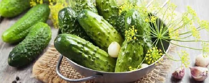 Dưa chuột muối nhẹ trong chảo với nước muối nóng