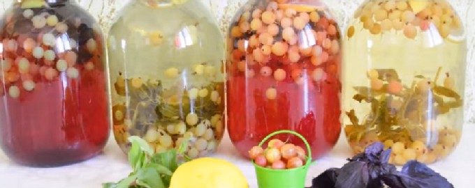 Kruisbessencompote mojito met munt voor de winter
