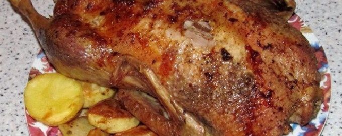 Vịt với táo trong lò