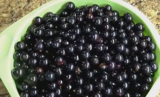 Paano maghanda ng limang minutong jelly-like blackcurrant jam para sa taglamig? Ihanda muna natin ang mga berry. Inayos namin ang mga currant, ihiwalay ang mga berry mula sa mga sanga, at hugasan ang mga ito. Hayaang maubos ang likido, ilagay ang mga prutas sa isang colander.