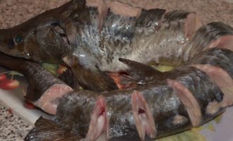 Tallem el peix a porcions, no fem els talls del tot, afegim una mica de sal, espolvoreem amb suc de llimona i oli d'oliva. Tallem el peix a porcions, no fem els talls del tot, afegim una mica de sal, espolvoreem amb suc de llimona i oli d'oliva.