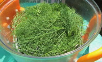 Ibabad ang dill sa isang mangkok ng malamig na inasnan na tubig upang alisin ang anumang posibleng mga insekto. Pagkatapos ng 10-15 minuto, banlawan ito sa ilalim ng tubig na tumatakbo at tuyo ito ng kaunti sa pamamagitan ng paglalagay nito sa isang colander. 