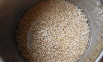 Com preparar rassolnik amb ordi perlat i escabetx segons la recepta clàssica? L'ordi perlat és famós pel seu llarg temps de cocció, així que per accelerar una mica el procés de cocció, esbandiu l'ordi diverses vegades amb aigua corrent per endavant i, a continuació, submergiu-lo amb prou aigua freda durant uns 40 minuts - 1 hora.