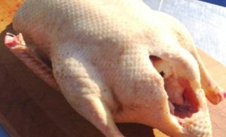 Per coure una oca sucosa en una màniga al forn, la carcassa s'ha de rentar a fons i eliminar les plomes restants. A continuació, l'oca s'ha d'assecar per dins i per fora. Per coure una oca sucosa en una màniga al forn, la carcassa s'ha de rentar a fons i eliminar les plomes restants. A continuació, l'oca s'ha d'assecar per dins i per fora.