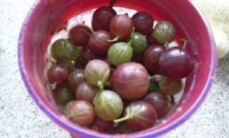 Hoe maak je kruisbessengelei klaar voor de winter volgens een eenvoudig recept? De bessen moeten worden gesorteerd, weggegooid, verwend, de staarten worden afgescheurd en grondig worden gespoeld.
