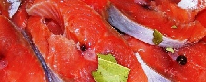 Cách ngâm cá hồi hồng tại nhà nhanh và ngon