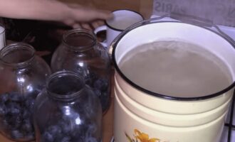 Hoe maak je pruimencompote klaar voor een pot van 3 liter voor de winter? Sorteer eerst de vruchten en verwijder alle gekneusde en rotte pruimen.Spoel ze grondig af en zorg ervoor dat u ze niet beschadigt. Doe de pruimen daarna in een steriele pot en giet er kokend water over, dek af met een deksel. De bessen in de pot moeten worden toegediend.