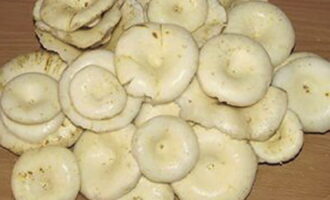 Cách ngâm nấm sữa nóng trong lọ cho mùa đông? Đầu tiên, nấm cần được làm sạch cặn bẩn và rửa kỹ dưới vòi nước.