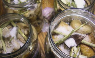 Maingat na ilagay ang mga mushroom sa mga isterilisadong garapon. Budburan ang mga mushroom nang pantay-pantay sa asin, idagdag ang natitirang mga pampalasa at suka.