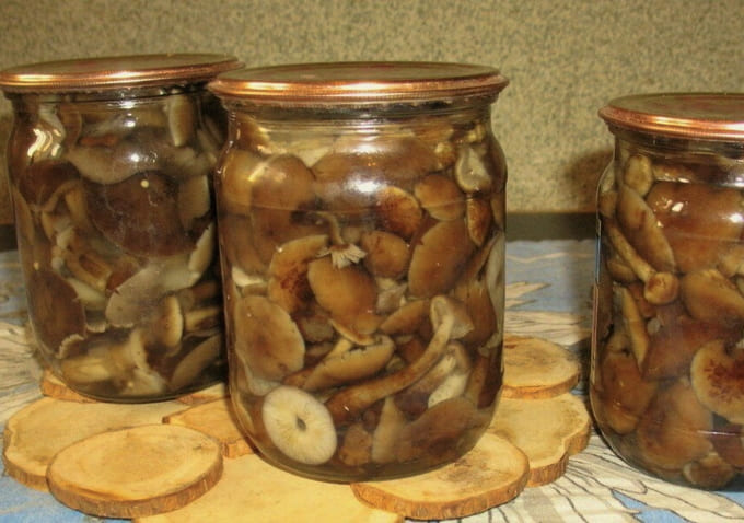 Mga adobo na honey mushroom para sa taglamig