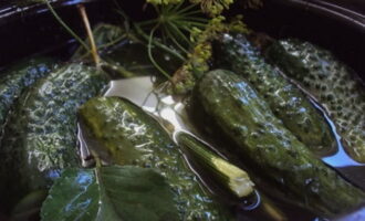 Kant-en-klare lichtgezouten komkommers kunnen bij elk gerecht worden geserveerd, komkommers passen vooral goed bij aardappelen en vlees. Serveer de komkommers gekoeld en bewaar ze in de koelkast, zodat ze knapperig en stevig blijven.