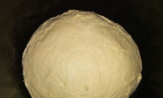 Gamit ang iyong mga kamay na pinahiran ng langis ng gulay, masahin ang kuwarta at masahin muli ito sa isang bola. Grasa ang mangkok ng multicooker na may langis ng gulay at ilagay ang minasa na masa dito. Ilagay ang mangkok sa multicooker, isara ang takip at piliin ang Keep warm mode sa loob ng sampung minuto. Ang mga pangalan ng mga mode, siyempre, ay maaaring mag-iba depende sa modelo ng device. Ang punto ay upang bigyan ang kuwarta na may temperatura na tatlumpu't limang degree para sa pag-proofing. Maaari mong itakda nang manu-mano ang temperaturang ito o pumili ng katulad na mode. 