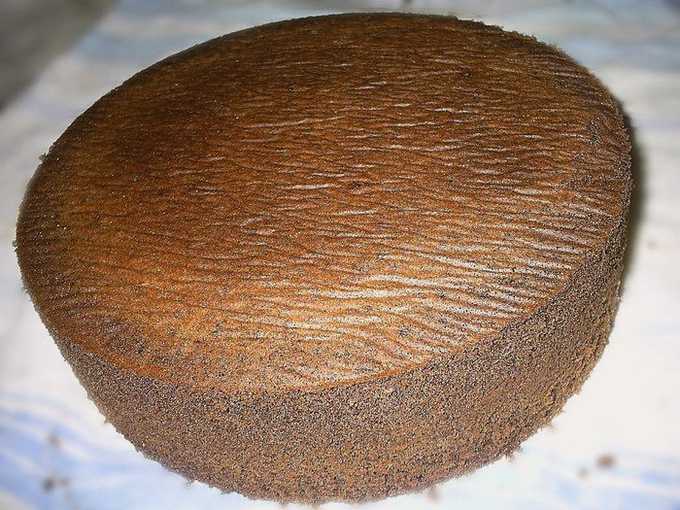 Choklad sockerkaka