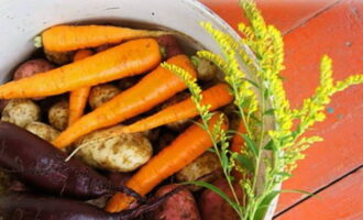 Hoe maak je een vinaigrette met zuurkool volgens een klassiek recept? Was de groenten, doe ze in een pan en kook tot ze gaar zijn. Hoe maak je een vinaigrette met zuurkool volgens een klassiek recept? Was de groenten, doe ze in een pan en kook tot ze gaar zijn.