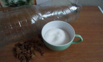 Cách làm kvass từ nhựa bạch dương tại nhà? Thêm lượng đường và nho khô cần thiết. Chai nhựa để chuẩn bị kvass phải được rửa kỹ và không có mùi lạ.