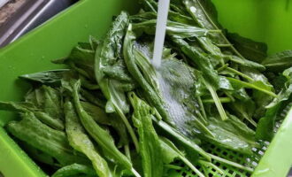 Com preparar el sorrel per a l'hivern en pots? Prendre herbes fresques. El sorrel jove de primavera es considera el més útil, ja que les fulles encara no han tingut temps d'envellir i acumular una quantitat excessiva d'àcid oxàlic. Trieu-lo i esbandiu-lo amb aigua corrent per eliminar tota la brutícia i la pols de la superfície de les fulles.