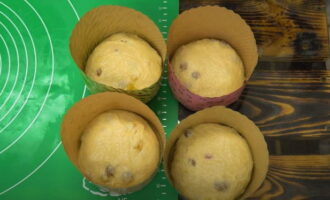 Dividiu la massa acabada en quatre parts i transferiu-la als motlles preparats. Cobriu les cassoles amb pastissos de Pasqua i deixeu-los reposar 40 minuts més. 