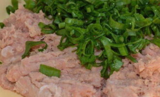 Se spală bine ceapa verde și se usucă cu un prosop de hârtie. Tăiați-l în inele mici și combinați-l cu baza de pui. Se sare amestecul, se adaugă condimente și se dă la frigider pentru 15 minute. În acest timp, carnea tocată va fi saturată și va deveni mai densă și mai elastică.
