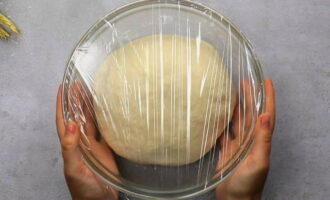 Tapem el recipient amb la massa: per això agafem paper film o una tovallola. Col·loqueu la massa en un lloc càlid durant una hora. Durant aquest període de temps augmentarà de mida, es tornarà bombolla, lleugera i airejada. 