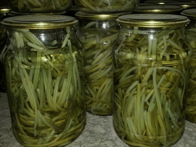 Ramson สำหรับฤดูหนาว