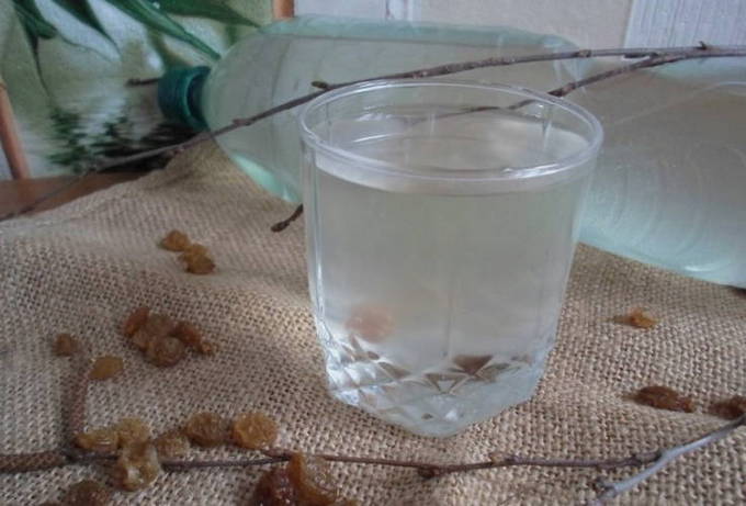 Kvass từ nhựa cây bạch dương