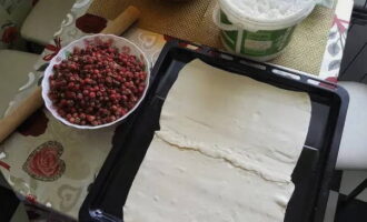 Đặt bánh phồng thành một lớp mỏng trên khay nướng.