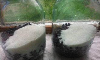 Idagdag ang kinakailangang halaga ng asukal sa mga berry sa garapon. Sa oras na ito, pakuluan ang tubig sa isang takure.