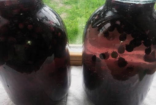 Compote ng serviceberry para sa taglamig