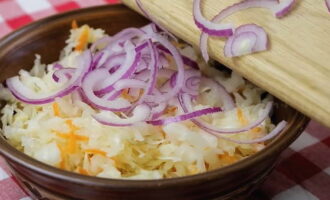 Apoi închidem borcanul cu un capac de nailon și îl păstrăm într-un loc răcoros. Poti servi varza cu ceapa si ulei de masline. Va fi incredibil de delicios.
