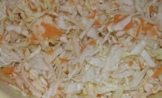 Începem să frământăm masa până când se eliberează sucul de legume. Începem să frământăm masa până când se eliberează sucul de legume.