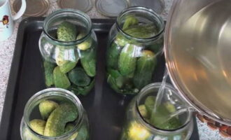 En una cassola amb aigua bullint, en què prèviament s'han infusionat els cogombres, afegiu-hi els ingredients per a la marinada i deixeu-ho a foc lent durant uns 5 minuts, i després aboqueu-hi els cogombres. En una cassola amb aigua bullint, en què prèviament s'han infusionat els cogombres, afegiu-hi els ingredients per a la marinada i deixeu-ho a foc lent durant uns 5 minuts, i després aboqueu-hi els cogombres.