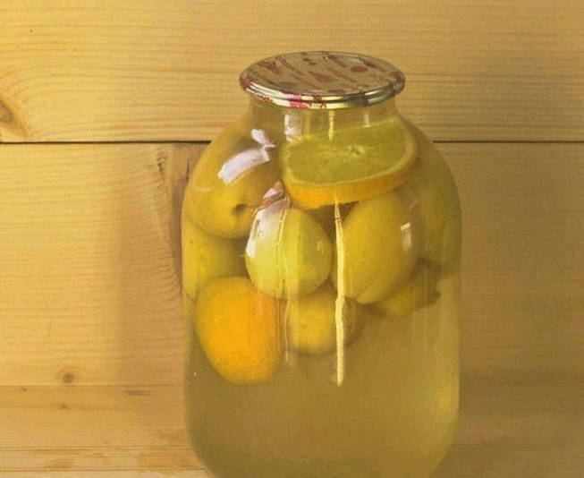 Abrikozen- en sinaasappelcompote voor de winter