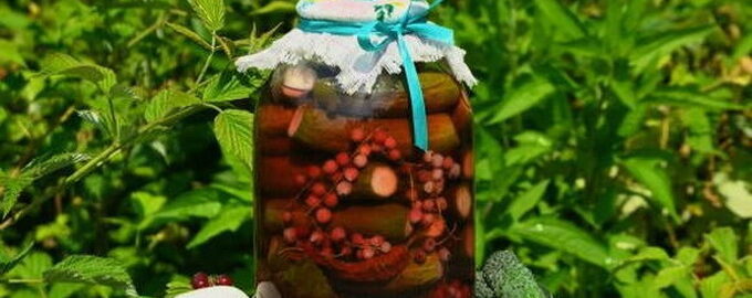 Castraveți cu coacăze roșii pentru iarnă