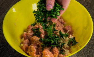 En un recipient adequat, barregeu la carn picada, el puré de patates, la ceba i l'all, bateu-hi l'ou, afegiu-hi la llet i el pa ratllat. Espolvorear amb sal, pebre i nou moscada.Pastar bé la carn picada i, cobrint amb film, deixar en fred durant una hora. En un recipient adequat, barregeu la carn picada, el puré de patates, la ceba i l'all, bateu-hi l'ou, afegiu-hi la llet i el pa ratllat. Espolvorear amb sal, pebre i nou moscada. Pastar bé la carn picada i, cobrint amb film, deixar en fred durant una hora.