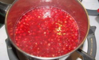 Magdagdag ng asukal sa mga durog na berry at ihalo nang mabuti. Iwanan ang halo sa isang mainit na lugar hanggang sa ganap na matunaw ang asukal - sa loob ng ilang oras, at pagkatapos ay pukawin muli. 