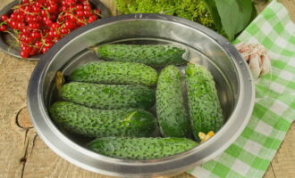 Cum se prepară castraveți crocanți cu ketchup chili în borcane de litri pentru iarnă? Pentru acest preparat, selectați castraveți mici, denși, îndepărtați capetele și puneți legumele în apă rece timp de aproximativ 3 ore. Cum se prepară castraveți crocanți cu ketchup chili în borcane de litri pentru iarnă? Pentru acest preparat, selectați castraveți mici, denși, îndepărtați capetele și puneți legumele în apă rece timp de aproximativ 3 ore.