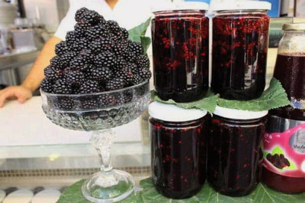 ผลไม้แช่อิ่ม Blackberry สำหรับฤดูหนาว