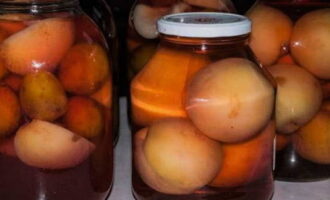 Refredeu els rotllos cap per avall sota la manta i, a continuació, guardeu-los en un lloc fresc.